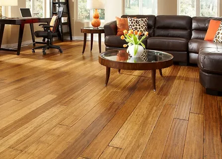 Living Room Bamboo Flooring